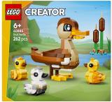 40885